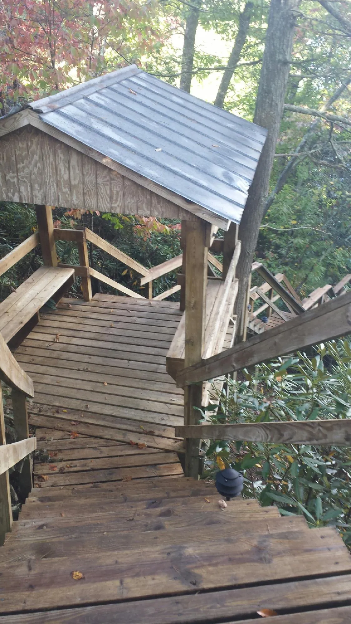 Metal roofed shelter over wooden steps on a wooded walkway — Skylight Repair & Installation work by our crew in Bell
